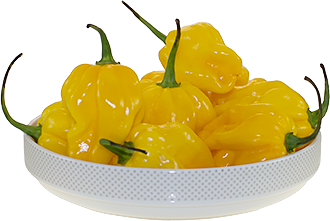 Habanero gelb Habanero gelb