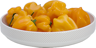 Orange Habanero Orange Habanero