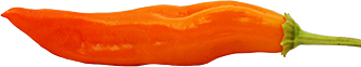 Aji Amarillo Aji Amarillo