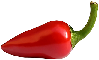 Bird Eye Bird’s Eye