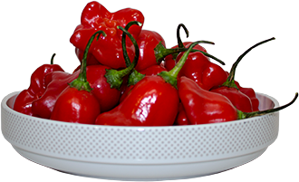 Glockenchili Glockenchili