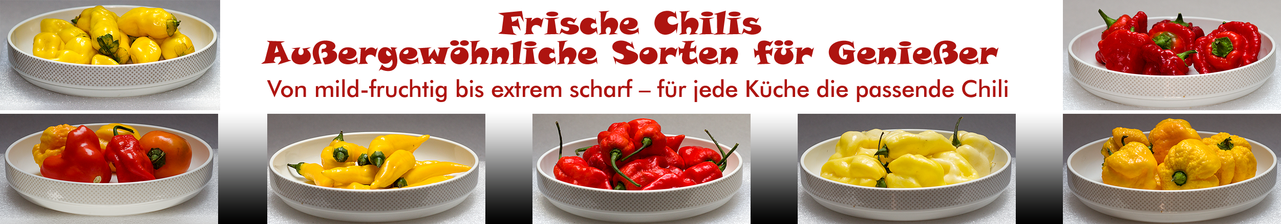 Chili frisch