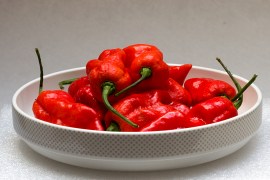 Naga Jolokia