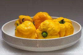 Scorpion Moruga